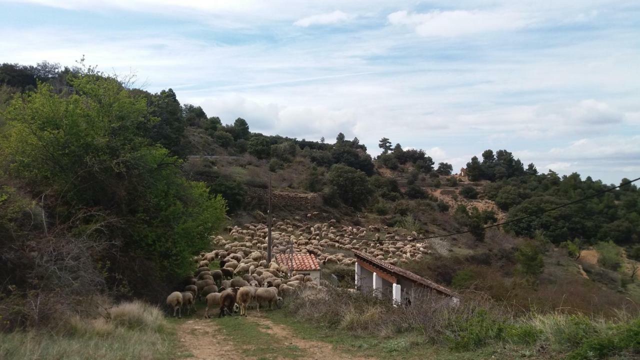 Casa Rita Villa Morella Buitenkant foto