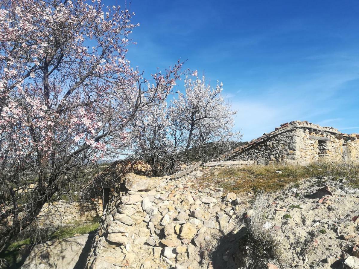Casa Rita Villa Morella Buitenkant foto
